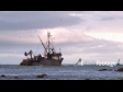 Fishing Boat Tauranga 1 1820